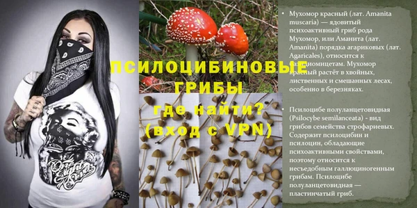 круглые Гусиноозёрск