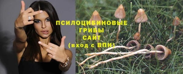 соль ск Гусев