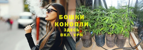 круглые Гусиноозёрск