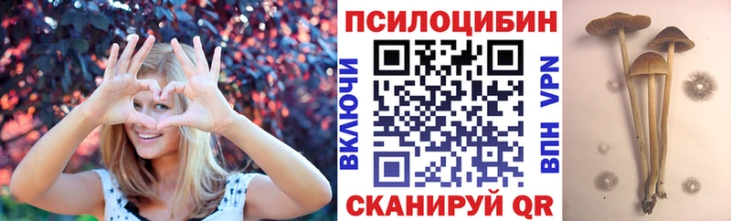 Галлюциногенные грибы Cubensis Тулун