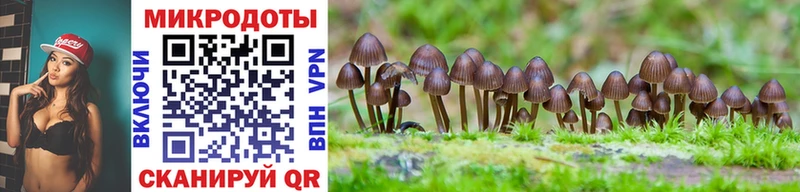 Галлюциногенные грибы GOLDEN TEACHER  Купить где  Тулун 